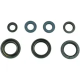 OIL SEAL KIT for Motorcycles 7346587