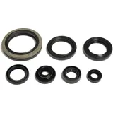 Wellendichtring Satz für Motoren 7346606