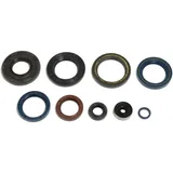Engine Oil Seal Kit for Motorcycles 7347719