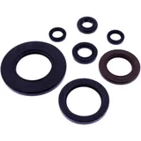 Oil Seal Kit for Brake Drum Tourmax