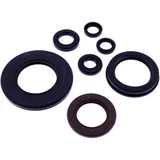 OIL SEAL KIT TOURMAX for Motorcycles 7348067