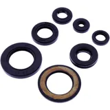 OIL SEAL KIT for Motorcycles Tourmax 7348068