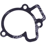 Dichtung Wasserpumpe Deckel Originalersatzteil passend für: Beta Evo, REV3 7348353