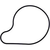 Water pump cover gasket original spare part for: Benelli BN 7348648