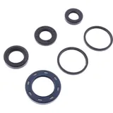 Shaft seal set athena P400210400053