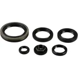 Engine Oil Seal Kit for Motorcycles 7354970