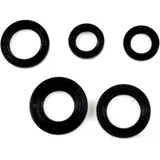 Engine oil seal kit for: Italjet Formula, Velocifero, Torpedo, Malaguti CR1, F12