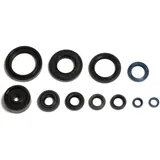 Oil Seal Kit for Motorcycles