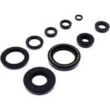 OIL SEAL KIT for Motorcycles 7356355