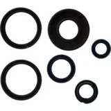 Engine oil seal kit P400220400252