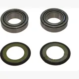 Headstock bearing kit 221021