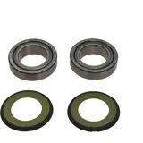 Headstock bearing kit 221010