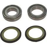 Headstock bearing kit 221007