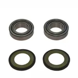 Headstock bearing kit 221003