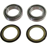 Headstock bearing kit 221031