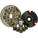 Variomatic NARAKU sport Naraku for: Peugeot Speedfight, Ludix, TKR, Honda SZX, SJ, SFX