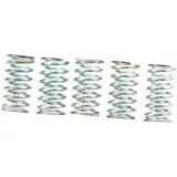 Reinforced Clutch Spring Kit TRW 5 PCS