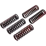 Clutch spring kit reinforced trw
