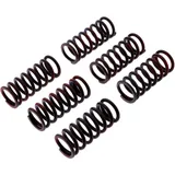 Kupplungsfeder-Kit verstärkt TRW für Motorräder 7380655