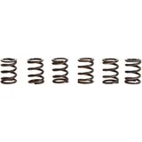 TRW Clutch Spring Kit (6)