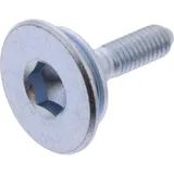 Can chain tensioner pivot 1083171