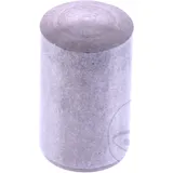 PISTON CAM CHAIN TENSIONER (OE SPARE PART)