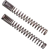 Fork springs 3012