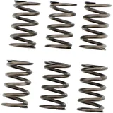 EBC Clutch Spring Set 6 Springs