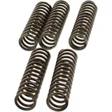 EBC clutch spring SET 5 springs for: Kawasaki VN