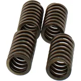 EBC clutch spring SET 4 springs for: KTM Duke