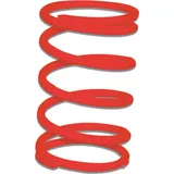 Thrust Spring 2916498R0