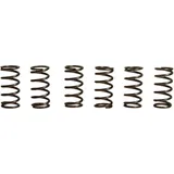 Clutch spring kit (6) EBC for: Kawasaki ZX - 6R