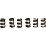 Clutch spring kit (6) EBC for: Husqvarna Enduro, Vitpilen, Svartpilen
