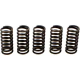 EBC Heavy-Duty Clutch Spring Kit