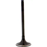 Valve exhaust 2814071