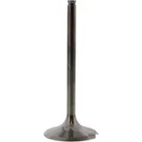 Intake valve 2814052