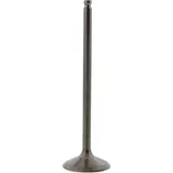 Einlassventil titan Prox 2824012