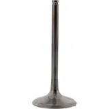 Einlassventil titan Prox 2834082