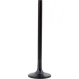 Auslassventil titan Prox 2889051