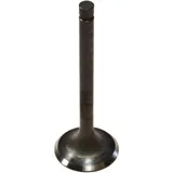 Exhaust valve for: Kawasaki Z, GPZ