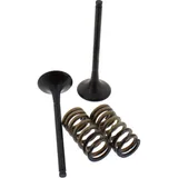 Exhaust valve and spring set 28SES63531