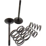 Exhaust valve and spring set 28SES44061