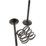 Ventil Satz Prox 28SES34071 Ventil Satz Prox 28SES34071