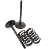 Exhaust valve and spring set