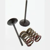 Inlet valve and spring set 28SIS43352