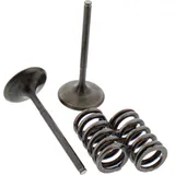 Inlet valve & spring kit