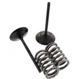 Inlet valve and spring set 28SIS14092