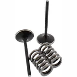 Inlet valve and spring set 28SIS14052