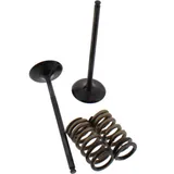 Inlet valve and spring set
