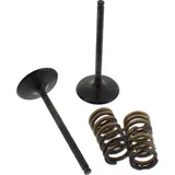 Inlet valve and spring set 28SIS63532